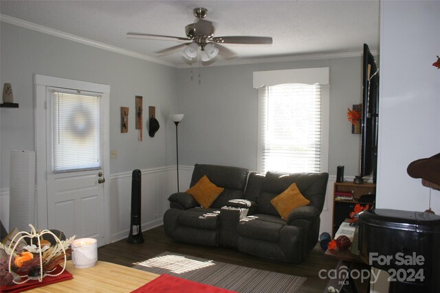 316 N Government St, Lincolnton, NC 28092 - living room featuring ceiling fan, crown molding, and dark hardwood / wood-style flooring