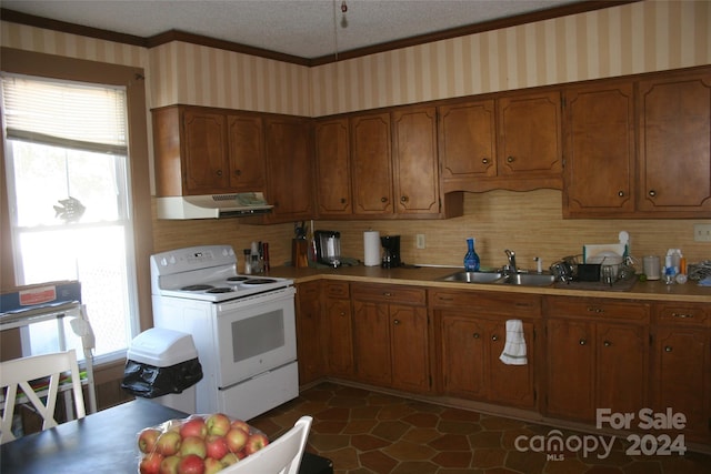 316 N Government St, Lincolnton, NC 28092 - kitchen featuring electric range, a textured ceiling, dark tile patterned floors, range hood, and sink