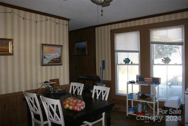 316 N Government St, Lincolnton, NC 28092 - dining space with crown molding, a textured ceiling, and wood walls