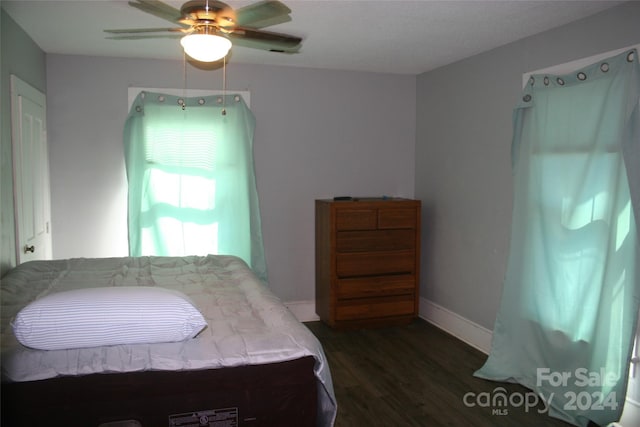 316 N Government St, Lincolnton, NC 28092 - bedroom with dark hardwood / wood-style floors and ceiling fan