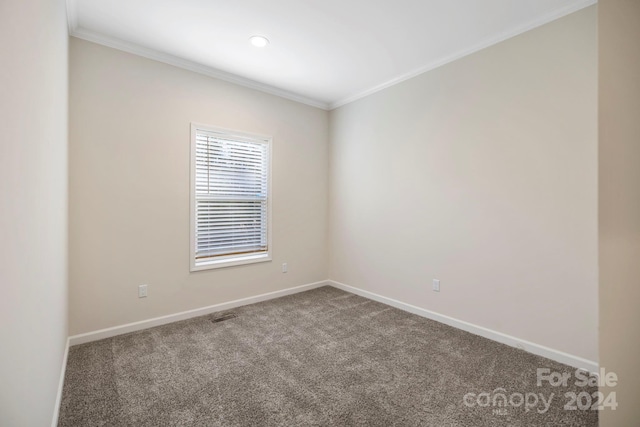 unfurnished room with carpet and crown molding