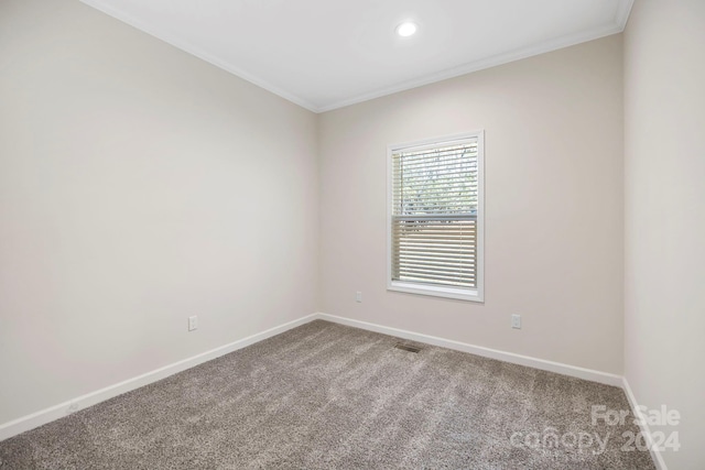 spare room with crown molding and carpet