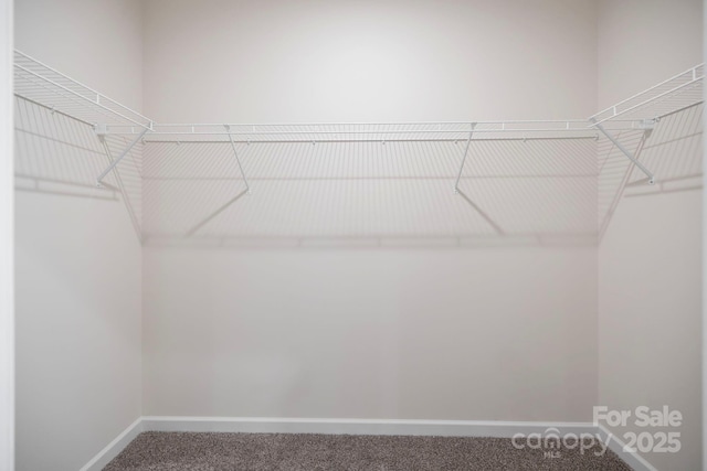 spacious closet with carpet flooring