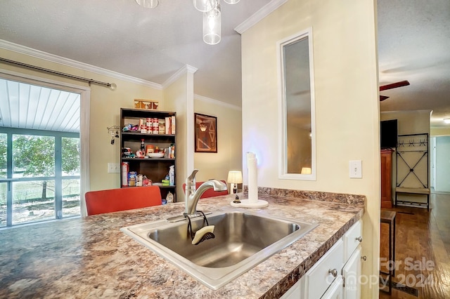 kitchen with ornamental molding, white cabinets, sink, and dark wood-type flooring