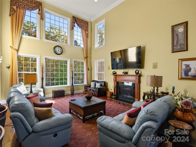 living room with wood-type flooring, a high ceiling, and ornamental molding