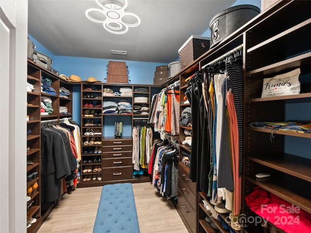 walk in closet with light wood-type flooring