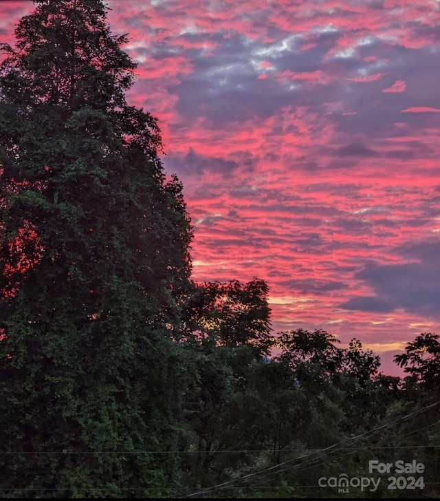 view of nature at dusk