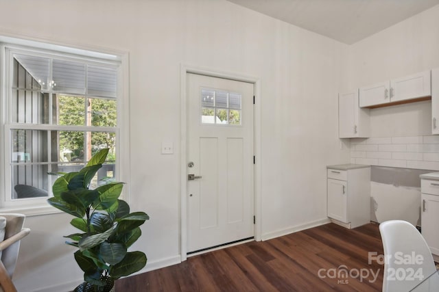 foyer featuring dark hardwood / wood-style flooring and a wealth of natural light