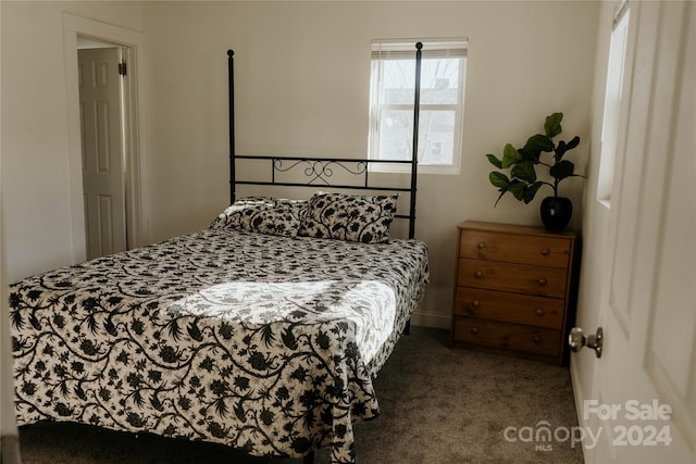 bedroom featuring carpet flooring