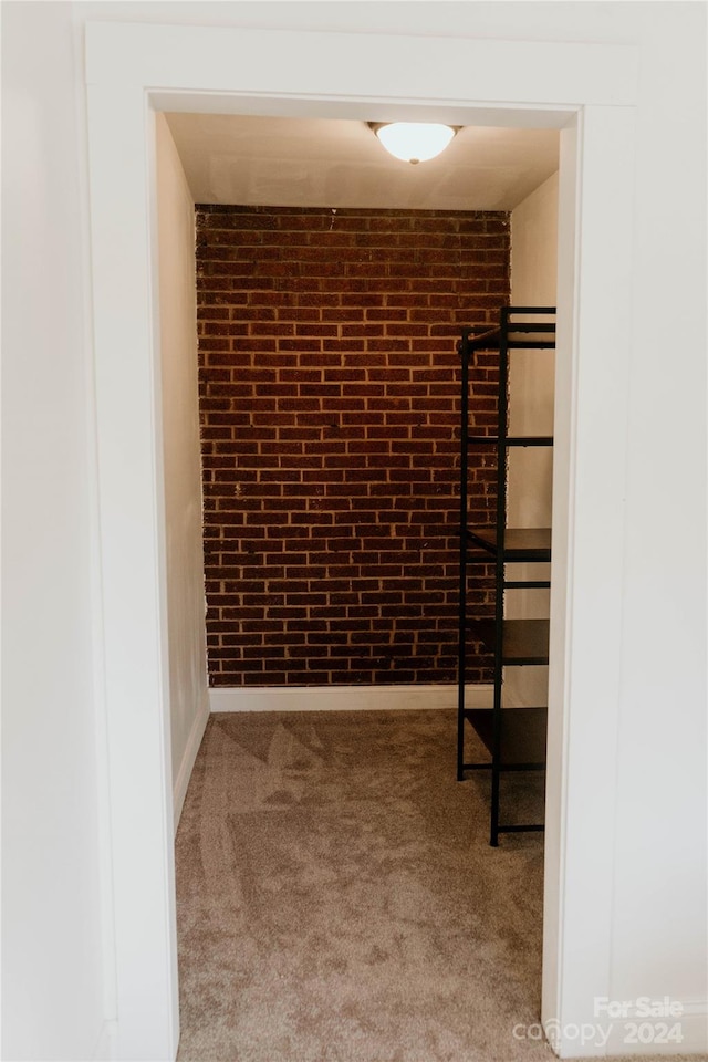 walk in closet with carpet