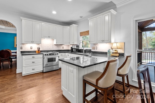 kitchen featuring kitchen peninsula, white cabinetry, stainless steel stove, and a wealth of natural light