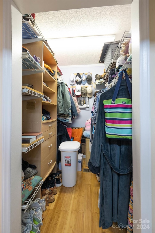 spacious closet featuring wood-type flooring