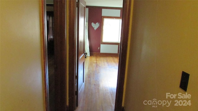 corridor featuring light hardwood / wood-style floors