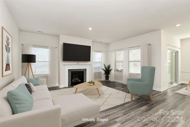 living room with hardwood / wood-style flooring and plenty of natural light