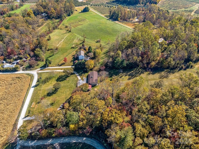 bird's eye view with a rural view