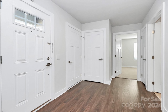 foyer entrance featuring dark hardwood / wood-style flooring