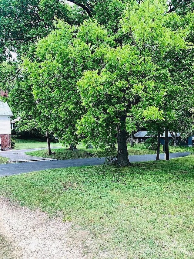 115 S Pearl St, Troy, NC 27371 - view of yard