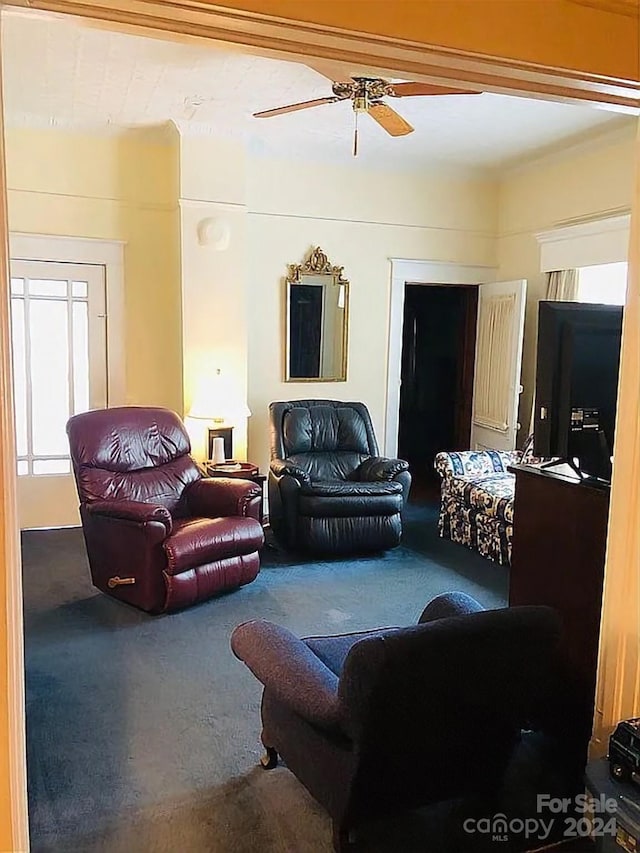 115 S Pearl St, Troy, NC 27371 - living room with carpet and ceiling fan