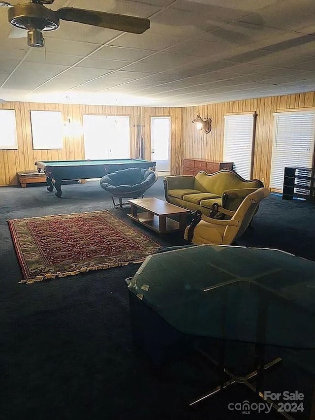 115 S Pearl St, Troy, NC 27371 - playroom with pool table, carpet, and wooden walls