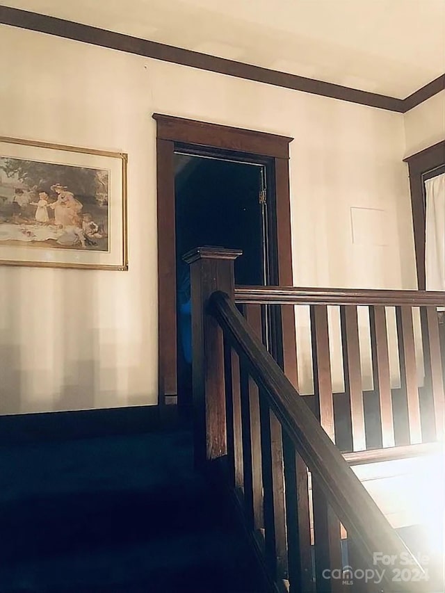 115 S Pearl St, Troy, NC 27371 - hallway with crown molding
