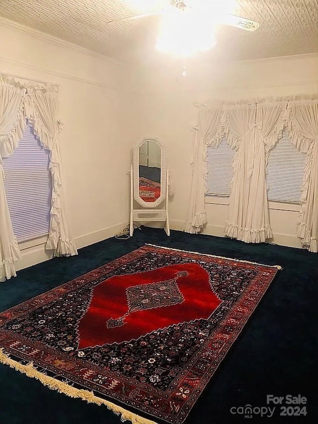 115 S Pearl St, Troy, NC 27371 - interior space with dark colored carpet