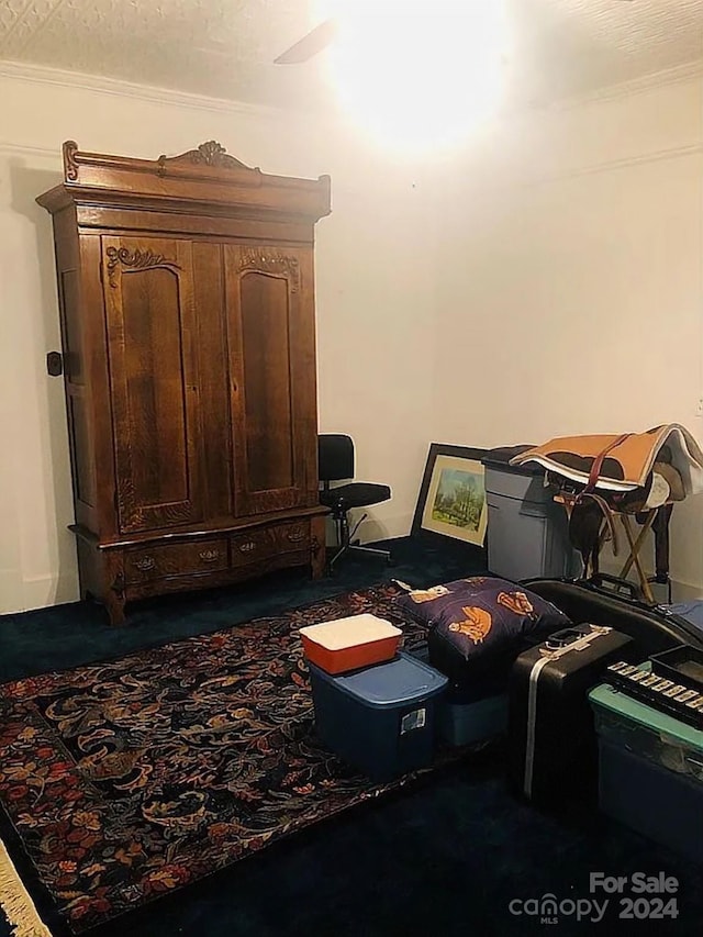 115 S Pearl St, Troy, NC 27371 - sitting room with ornamental molding, a textured ceiling, and dark colored carpet