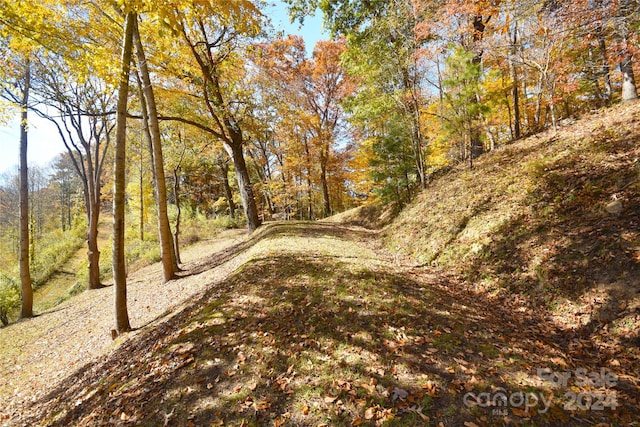 Listing photo 3 for 000 Wheatgrass Loop Unit 5, Waynesville NC 28785