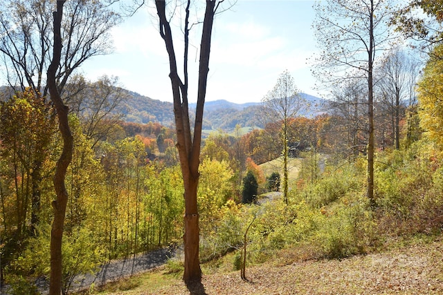 000 Wheatgrass Loop Unit 5, Waynesville NC, 28785 land for sale