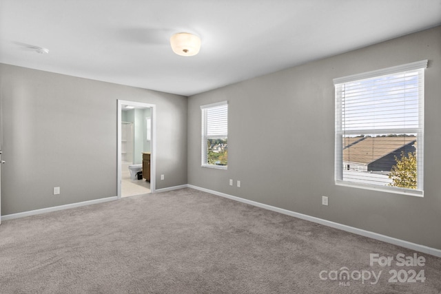 carpeted empty room featuring a wealth of natural light