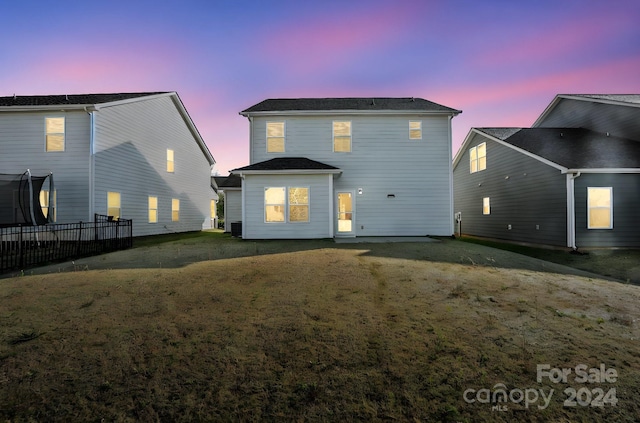 back house at dusk with a yard