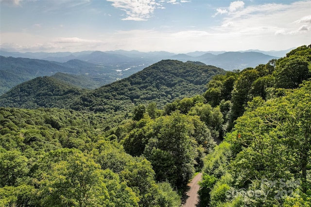 00 Unula Loop Unit E6, Maggie Valley NC, 28751 land for sale