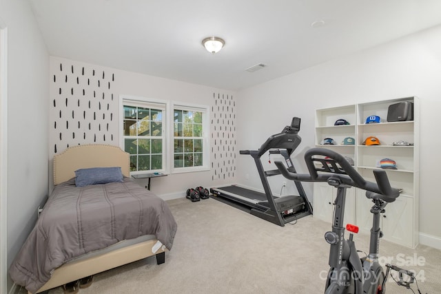 bedroom with carpet floors