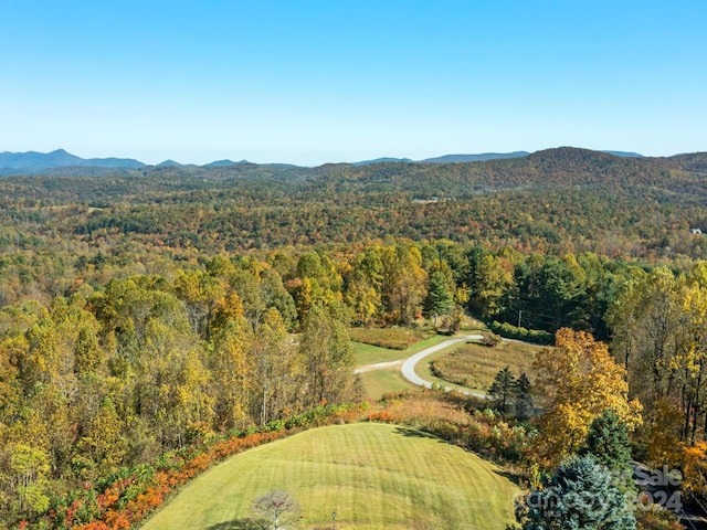 bird's eye view with a mountain view