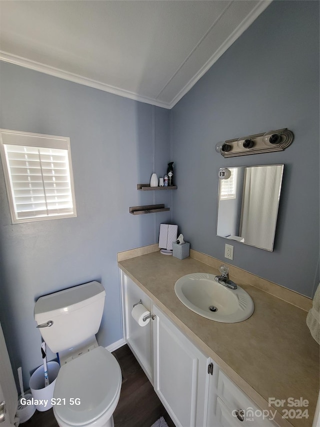 bathroom featuring vanity, toilet, wood-type flooring, and plenty of natural light