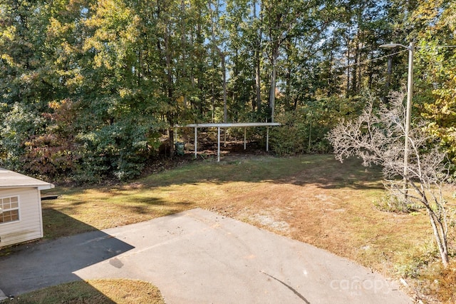 view of yard featuring a patio