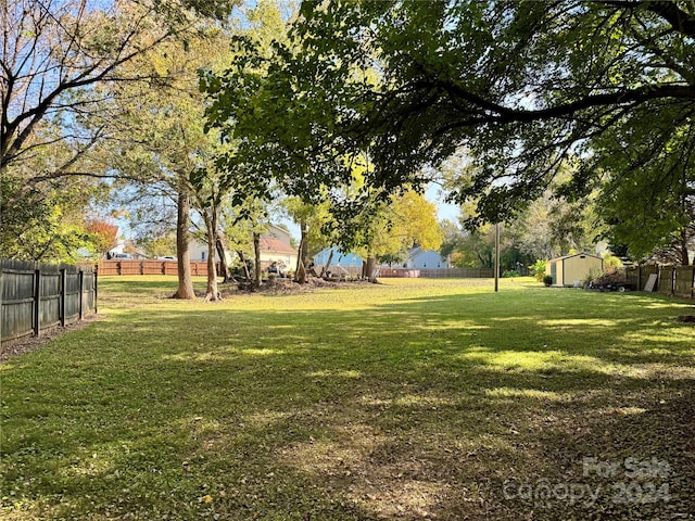 view of yard featuring a storage shed