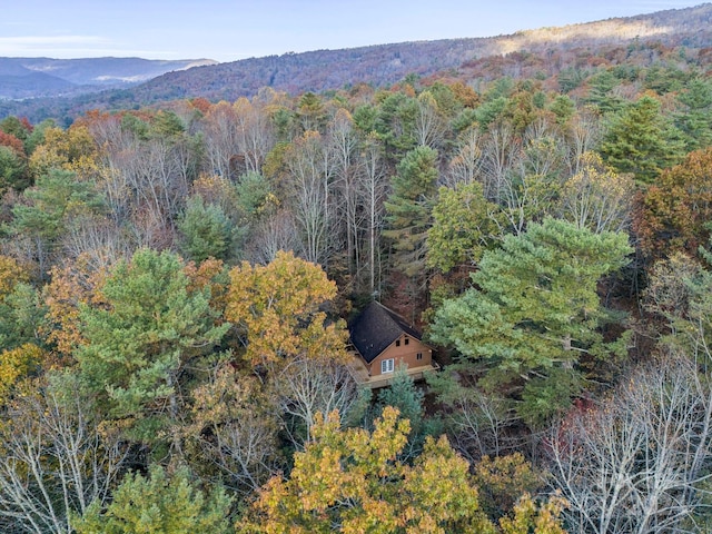 drone / aerial view with a mountain view