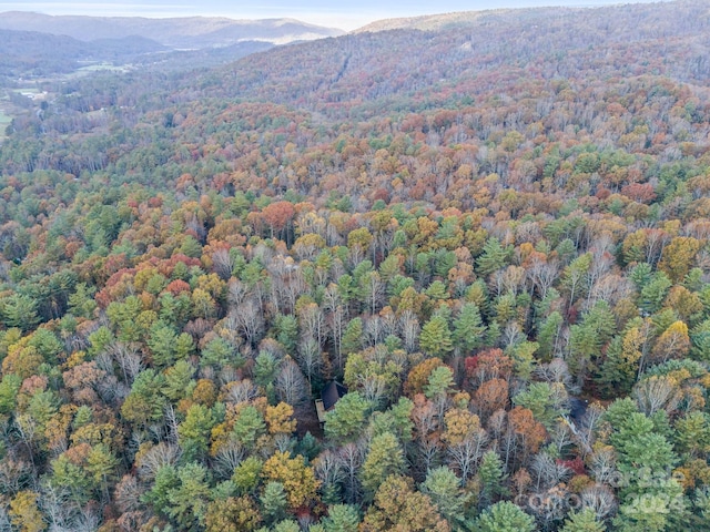 drone / aerial view featuring a mountain view