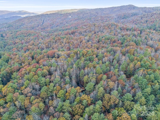 drone / aerial view with a mountain view