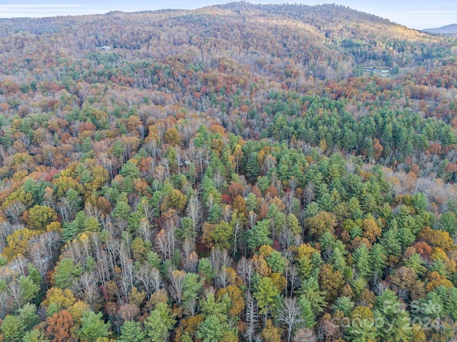 drone / aerial view featuring a mountain view