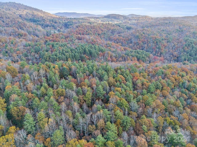 view of mountain feature