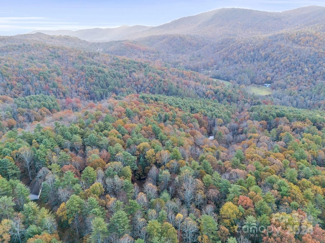 view of mountain feature