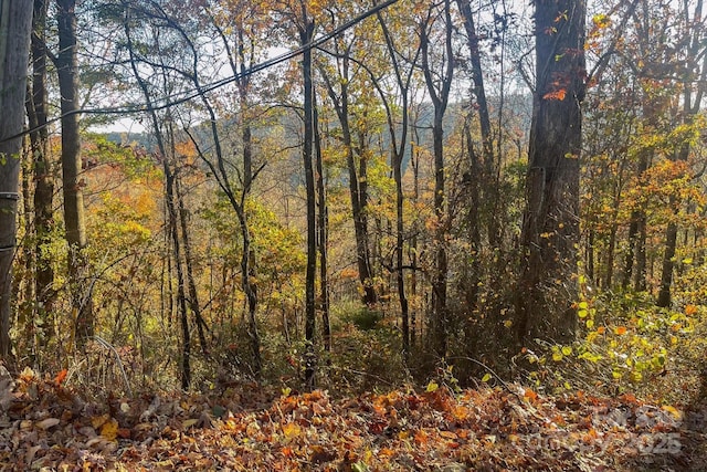 000 Rising View Dr Unit 114, Hendersonville, NC 28791 - photo 2