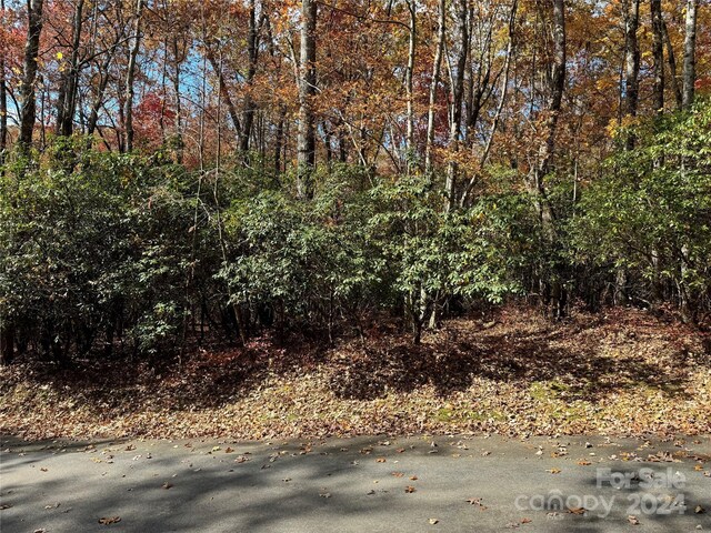 U02L340 Salola Ln Unit 340/02, Brevard, NC 28712 - photo 1