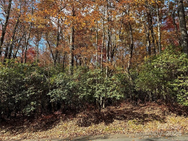 U02L340 Salola Ln Unit 340/02, Brevard, NC 28712 - photo 2
