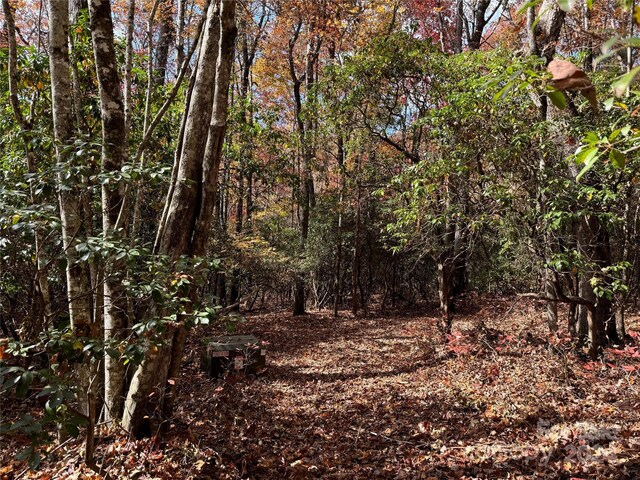 U02L340 Salola Ln Unit 340/02, Brevard, NC 28712 - photo 3
