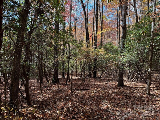 U02L340 Salola Ln Unit 340/02, Brevard, NC 28712 - photo 4