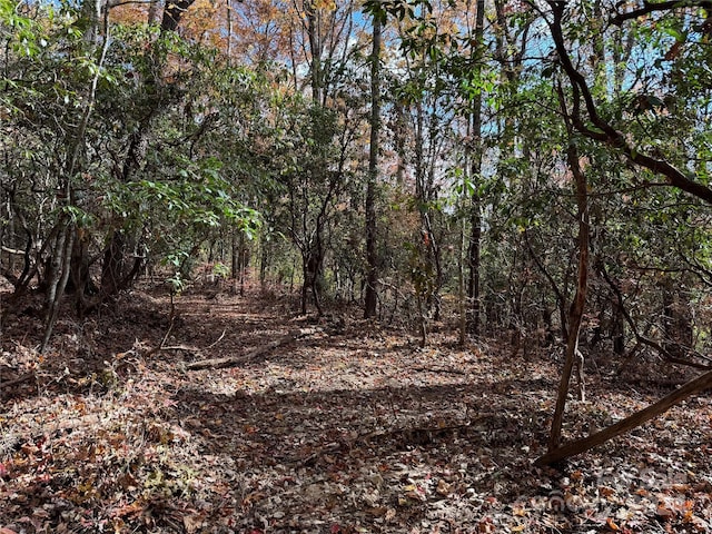 U02L340 Salola Ln Unit 340/02, Brevard, NC 28712 - photo 5