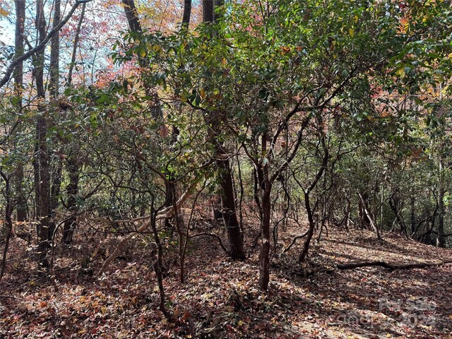 U02L340 Salola Ln Unit 340/02, Brevard, NC 28712 - photo 7