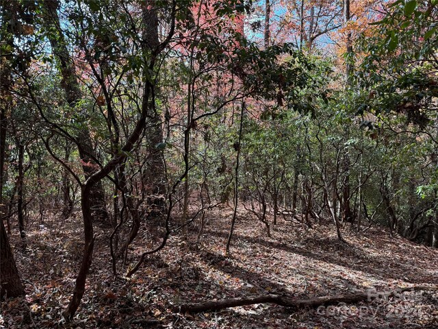 U02L340 Salola Ln Unit 340/02, Brevard, NC 28712 - photo 8